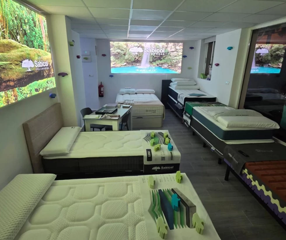 Interior Elche